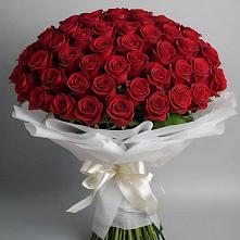 Букет 101 Красная роза Блэк Мэджик в Сосновом Бору