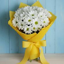Букет цветов из:  Хризантемы в Сосновом Бору