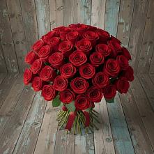 Букет 55 Красных роз Фридом #REPLACE_PRED# Сосновом Бору