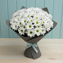 Букет цветов из:  Хризантемы в Сосновом Бору