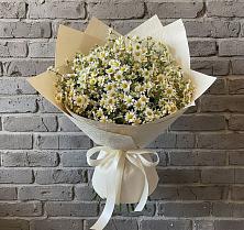 Букет цветов из:  Ромашки в Сосновом Бору