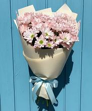 Букет цветов из:  Хризантемы #REPLACE_PRED# Сосновом Бору