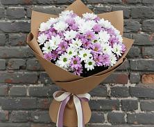 Букет цветов из:  Хризантемы в Сосновом Бору