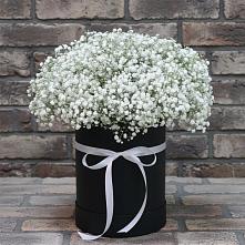 Цветочная композиция из Гипсофила в шляпной коробке в Сосновом Бору